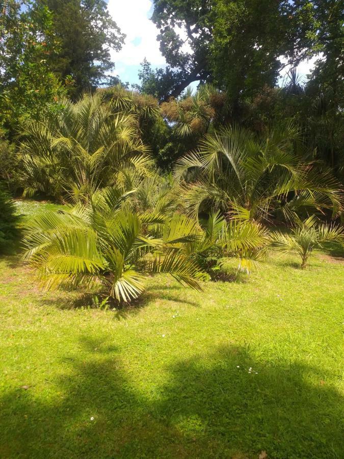 Un Jardin En Pente Douce Locquenole Exterior foto