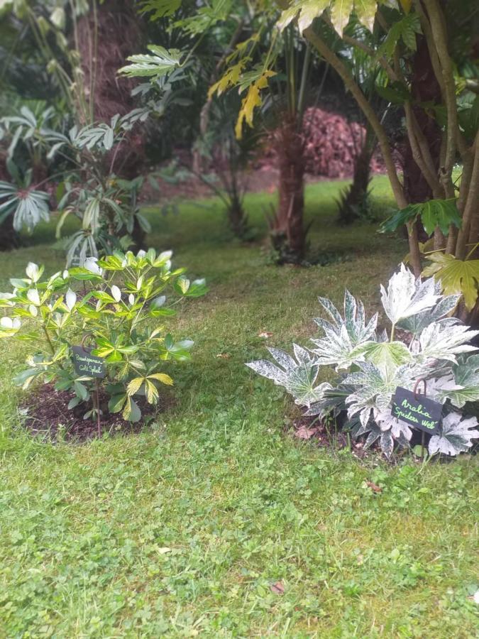 Un Jardin En Pente Douce Locquenole Exterior foto